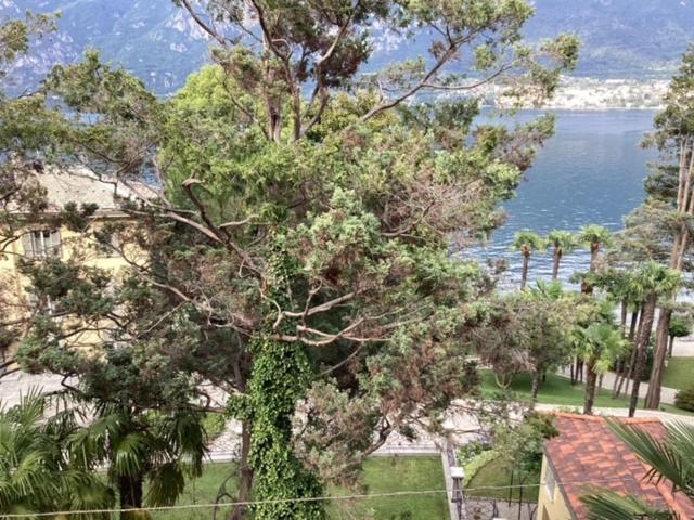Wonderful Lake Front Appartment Near Bellagio Limonta Bagian luar foto